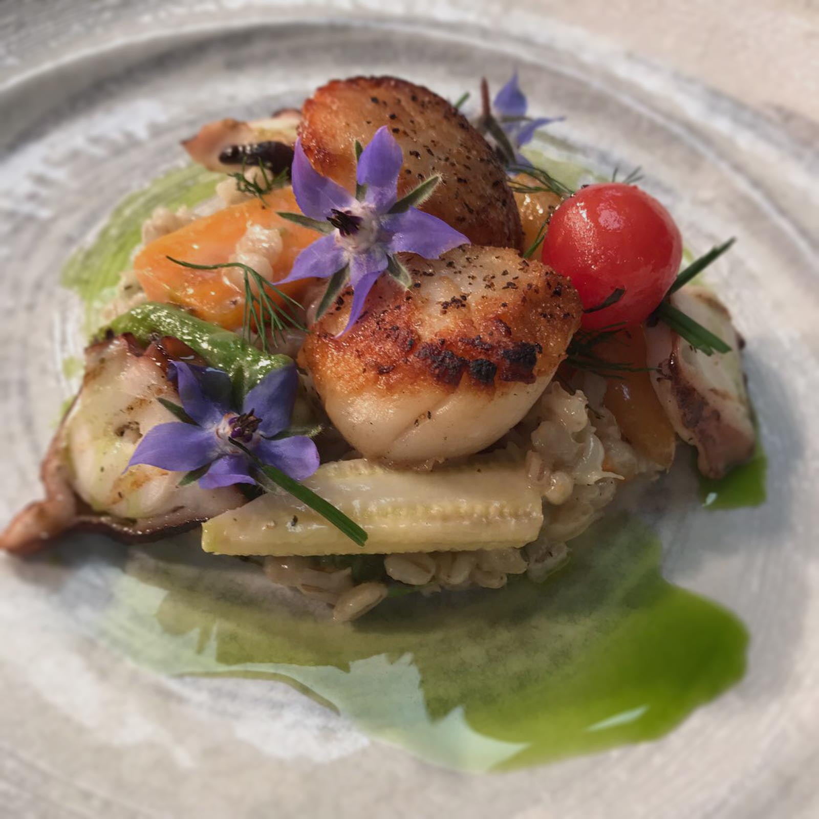 cotto-food-7